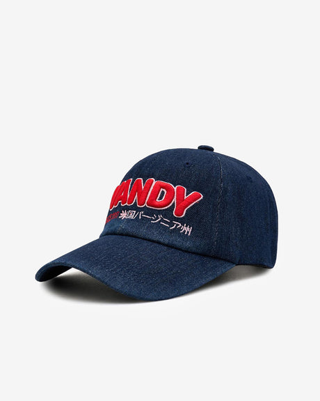 VANDYTHEPINK Accessories One size Basic Logo Cap 'Blue'